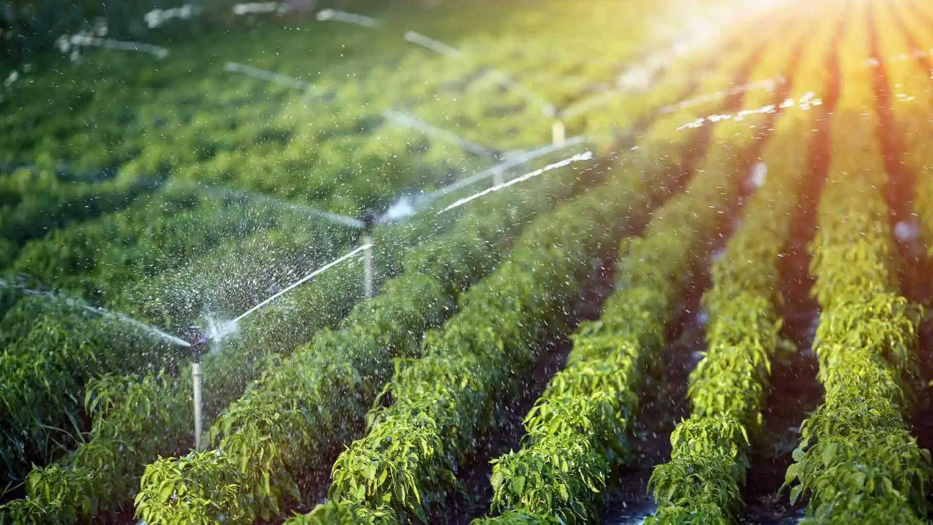 Hydraulic Plan Detail